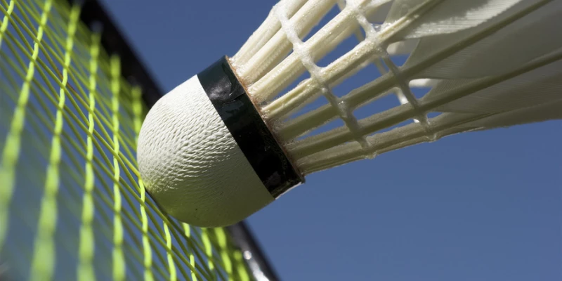 Giới Thiệu ToniBadminton