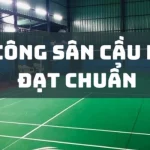 Chất Liệu Sàn Sân Cầu Lông